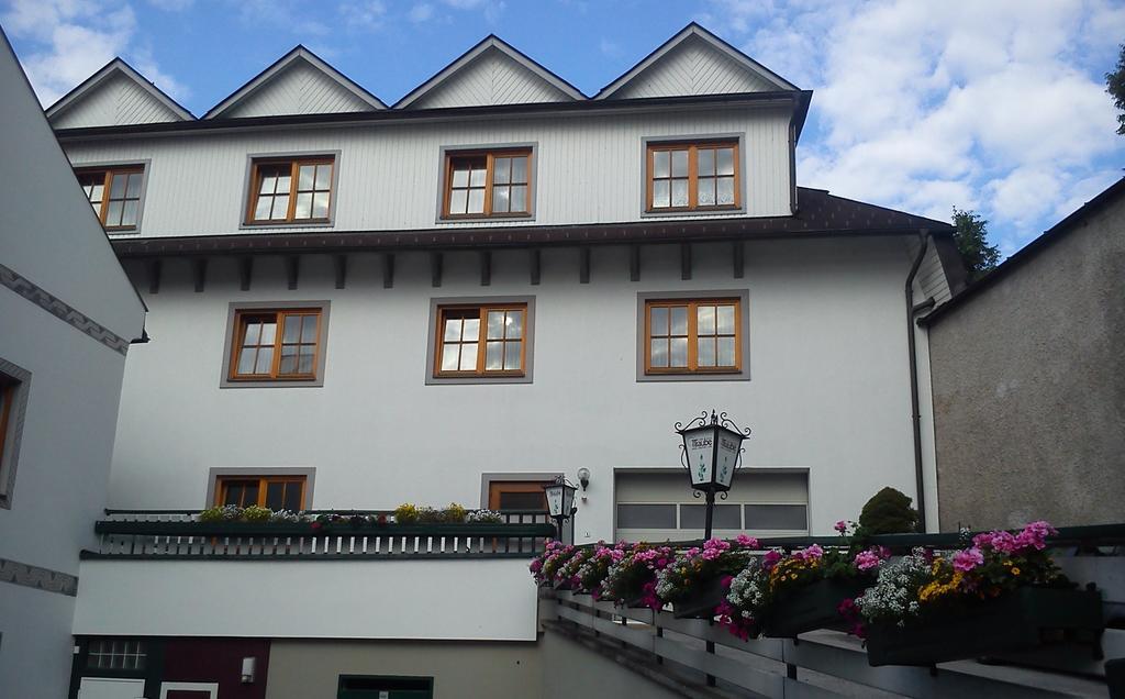 Hotel Die Traube Адмонт Экстерьер фото